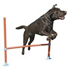 02491 Rosewood Pet Agility Hurdle 5060161231342
