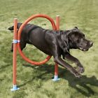 02492 Rosewood Pet Agility Hoop Jump Dog Play Exercise Toy
