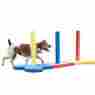 02495 Rosewood Pet Agility Slalom Dog