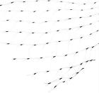 042579823383 Dewitt Lawn Seed Starter