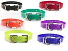 0647369503683 Sparky Petco Waterproof 3-4