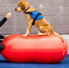 0816452010012 Fitpaws Peanut Stability Ball