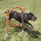 1007 Lixit Jump Hoop Dog Agility Starter Equipment 76711010072