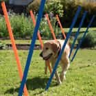 11431 Pawise Pet Dogs Outdoor Games Agility Equipment Starter 8886467514319