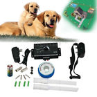 1157438g4b35795 1point Underground Electric Dog 191557903002