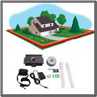 191388995030 Unbranded Underground Electric Dog
