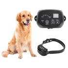 192687633081 Cevene Electric Dog Fenceunderground Invisible Fence For In