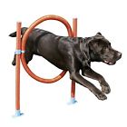 2492 Rosewood North America Agility 5060161231359