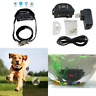 4346803059 Wilreless Invisible Fence Anti Lost Outdoor System Dog 611553999965