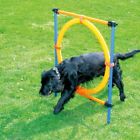 60196 Dog Training Equipment Pet 603305560196