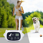 6164916564064 Unbranded Dog Wireless Wifi