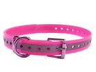 643845789640 Sparky Petco Roller Buckle High Flex Reflective Pink