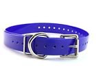 643845792053 Sparky Petco Blue Roller Buckle Replacement Dog Collar