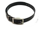 647369500088 Sparky Petco Collar Einstein Compatible Square Buckle High