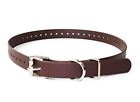 647369502907 E Collar Educator Genuine
