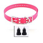 647369503010 Educator E Collar Small