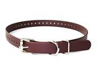 647369598047 E Collar Educator Genuine