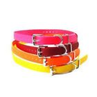 647369598054 E Collar Educator Genuine
