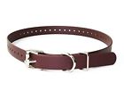 647369598399 E Collar Educator Genuine