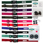 650348106058 Sparky Petco 3 4 Replacement Dog Collar 3 Hole With Rfa 529 Kit 67d Battery