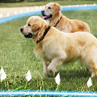 65669 Funace Inground Wire Dog 688954665669