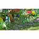 67911 Electric Fence Kit Ac-powered Decorative Garden Barrier Protector Animals Pests 611906167911