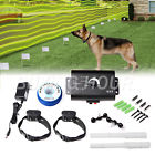 691953037306 Buyinghour Underground Electric Pet