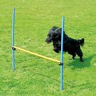 696782722478 Pawise Pet Dogs Outdoor
