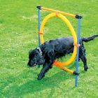 696782722485 Pawise Pet Dogs Outdoor