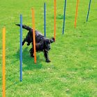 696782722508 Pawise Pet Dogs Outdoor
