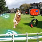 712217559973 Dogar Upgraded Dog Electric