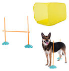 7437039321371 Outward Hound Indoor Agility Starter Kit Weave Poles
