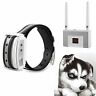 746653029219 Blingbling Petsfun Electric Wireless Dog Fence System For