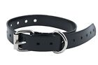 747726257874 Everypet Replacement Extra Collar