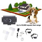 758232232262 1point Underground Electric Dog