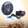 758232250808 Unbranded Electronic Dog Trainer Collar For Pet Dogs