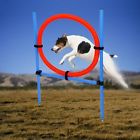 764655266784 Pet Dog Training Jump Hoop Cat Outdoor Games Exercise Equipment