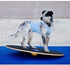 76926 Fitpaws Wobble Board Canine Dog Agility Fitness Equipment 691171776926