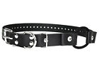 811938020080 Small Black Bungee Biothane Collar Educator 3 4 Small Petite 28 Inches Ready To Cut Size E