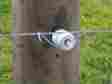 814213 Tru-test Inc Insulator Porceln W Nail 25pk