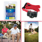 822426406569 Unbranded Pet Safety Collar