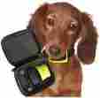 89345 Our K9 Pet Safe Dog Bark Collar Durable Training Collars For Small High Energy Dogs 787639225546