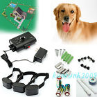 903277622886 Unbranded-generic For 3 Dogs Waterproof