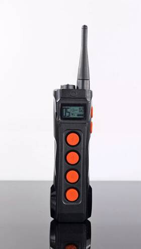 Aetertek 1518020 Replacement Remote For Rechargeable Dog Training Shock Collar Trainer