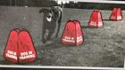 Agility Training Cones Boots Barkley For Target 4 18 Folding Dog Obedience Course Trainer 876173002581
