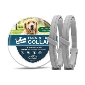 Amdeiur 810165607224 Collar For Dogs 8 Months Protection Adjustable Safe Dog Collar