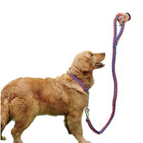 Bivisty Biv-xl1330 Heavy Duty Dog Leash Retractable Collar For Large Dogs Weighing 70-110 Pound