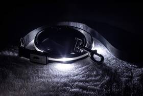 Blazin 612058740663 Light Up Dog Leash Led - 1 000 Feet Of Visibility Usb Rechargeable W