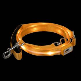 Blazin 856923008612 Light Up Dog Leash Led - 1 000 Feet Of Visibility Usb Rechargeable W