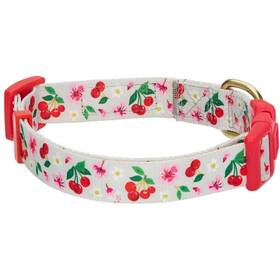 Blueberry Pet Bbpdclrp00335bg0l 7 Patterns Cherry Garden Grey Adjustable Dog Collar With Dainty